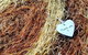 Kellers Bed And Breakfast - thumb 44