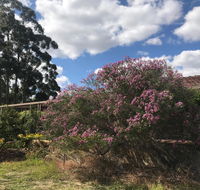 Cockburn Retreat Home  - C Tourism