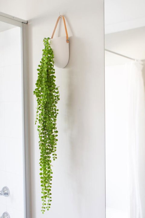 The Beach House - C Tourism 15