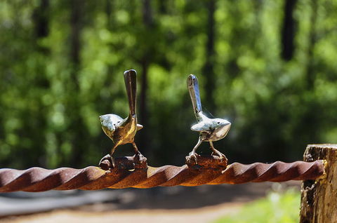 Nannup Bush Retreat - C Tourism 6