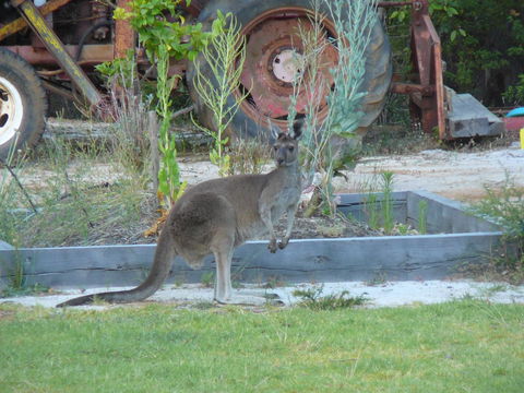 Nannup Bush Retreat - C Tourism 38
