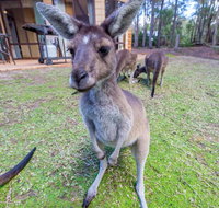 Yelverton Brook Eco Spa Retreat  Conservation Sanctuary - C Tourism