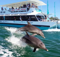 Belvedere Caravan Park - C Tourism