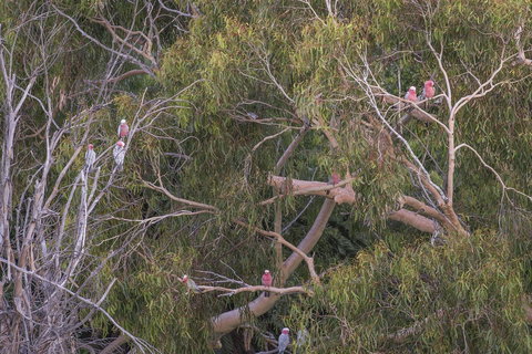 12/26 Yallingup Beach Road - C Tourism 19