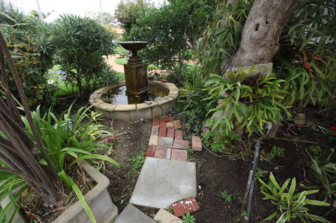 Jacaranda Guest House - C Tourism 32