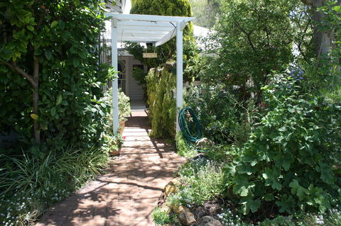 Jacaranda Guest House - C Tourism 39