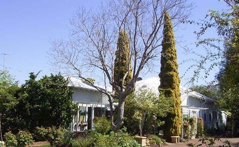 Jacaranda Guest House - C Tourism 37