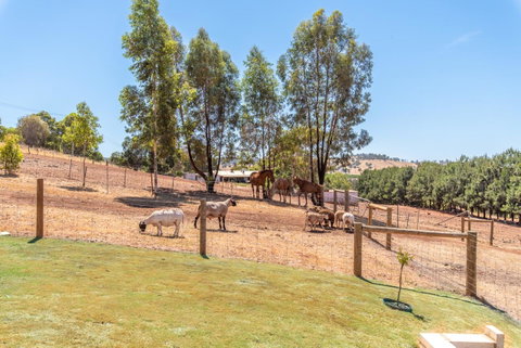 'Bindoon Valley Escape' Cottage - C Tourism 10