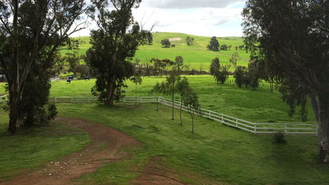 Daisy Cottage - C Tourism 22