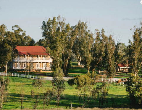 Daisy Cottage - C Tourism 7