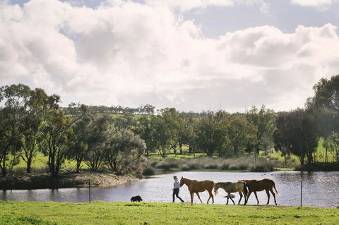 Daisy Cottage - C Tourism 28