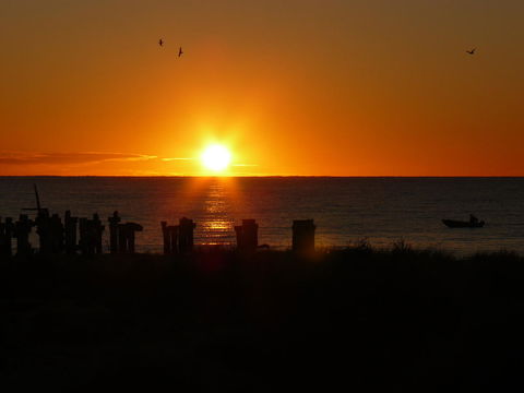 Jurien Bay Tourist Park - C Tourism 28