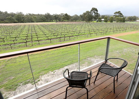 Lot113 Vineyard Accommodation - C Tourism 6
