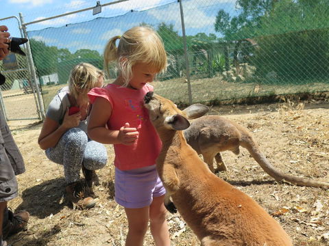 Jurien Beachfront Holiday Units - C Tourism 36