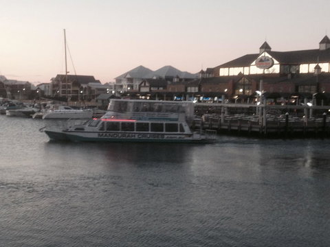 Mandurah Ocean Marina Chalets - C Tourism 44