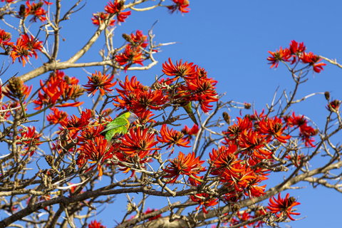 Como Executive Apartment - C Tourism 19