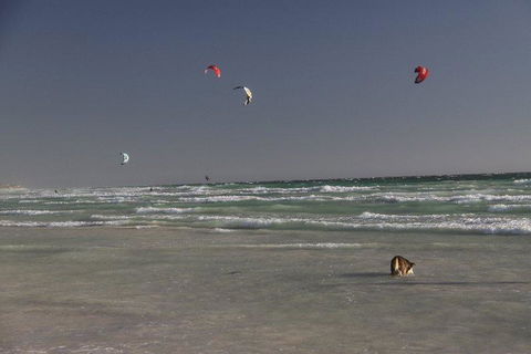 Dongara Tourist Park - C Tourism 33