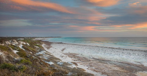 Dongara Tourist Park - C Tourism 36