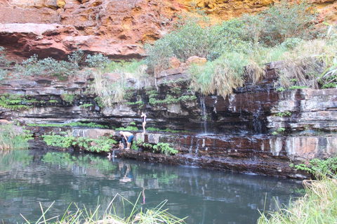Tom Price Tourist Park - C Tourism 32