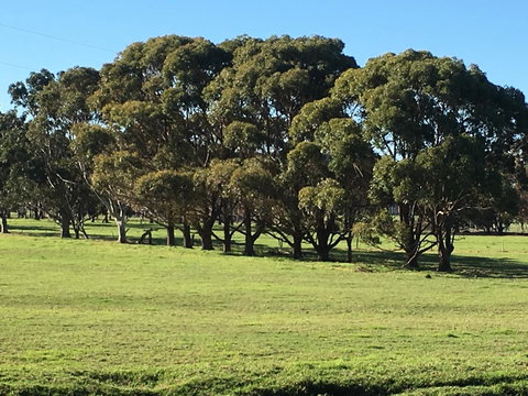 Cosy Corner Chalets - C Tourism 2