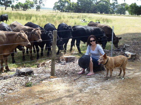 Cosy Corner Chalets - C Tourism 20