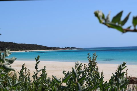Eagle Bay House - C Tourism 13