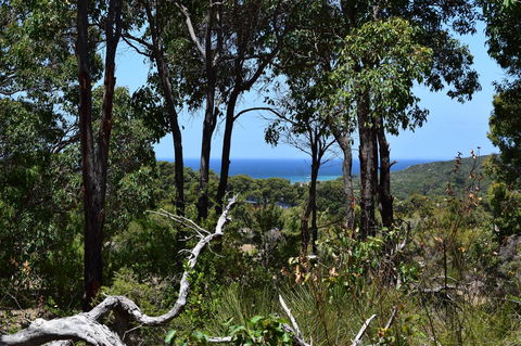 Eagle Bay House - C Tourism 28