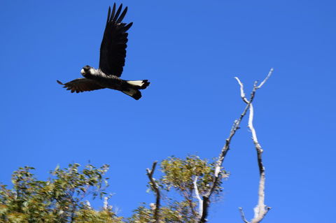 Eagle Bay House - C Tourism 20