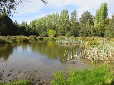 Giants Table And Cottages - C Tourism 25
