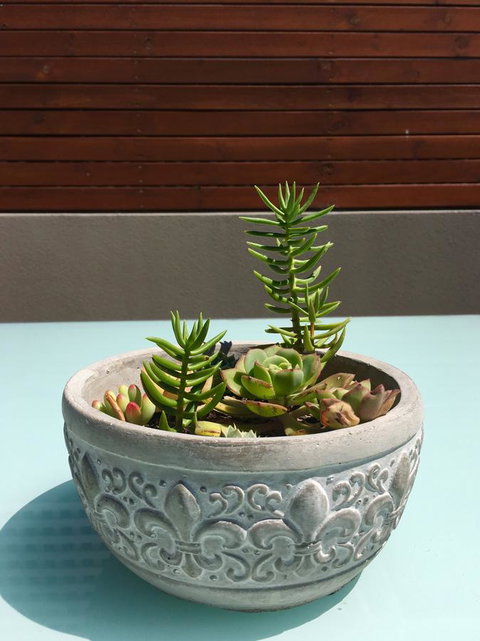 Sandy Bay Studio Apartment - C Tourism 13