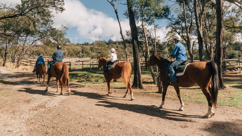 Country Club Tasmania - C Tourism 7