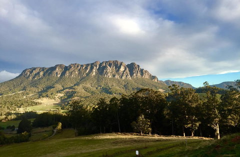 Manna Hill Farm - C Tourism 4