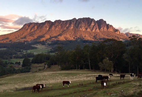 Manna Hill Farm - C Tourism 10