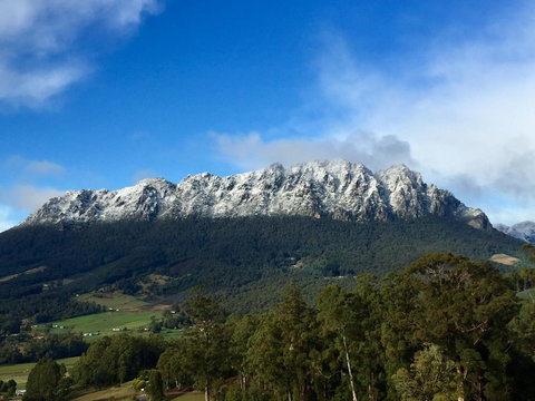 Manna Hill Farm - C Tourism 6