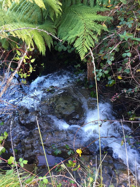 Manna Hill Farm - C Tourism 26