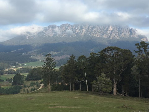 Manna Hill Farm - C Tourism 31