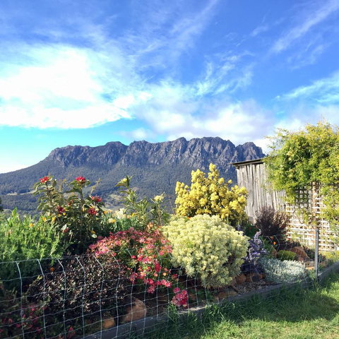 Manna Hill Farm - C Tourism 1