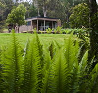 Tyenna River Cottage - C Tourism