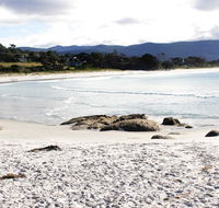 Mermaids of Bicheno - C Tourism