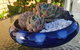 Driftwood-Cottage - thumb 37