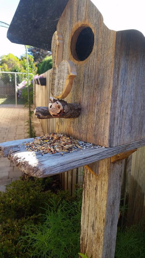 Driftwood-Cottage - C Tourism 29