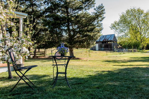 White Croft Cottage - C Tourism 19