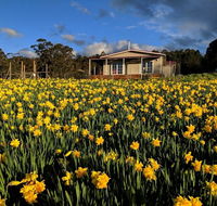 Mountain Blue Guest House - C Tourism