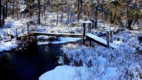 Cradle Mountain Love Shack - C Tourism 10