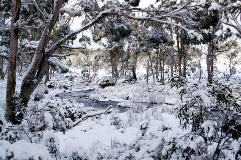 Cradle Mountain Love Shack - C Tourism 11