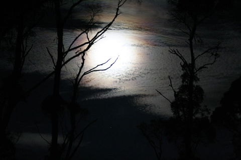 Cradle Mountain Love Shack - C Tourism 12