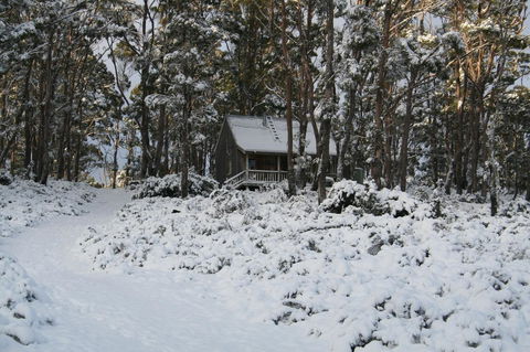 Cradle Mountain Love Shack - C Tourism 7
