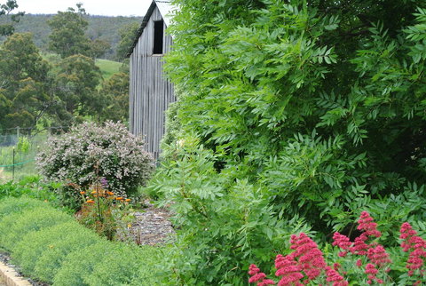 Hamlet Downs Country Accommodation - C Tourism 19