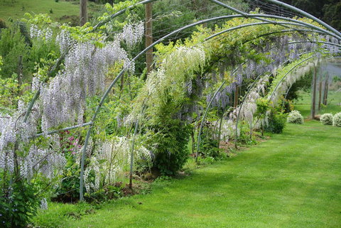 Hamlet Downs Country Accommodation - C Tourism 17