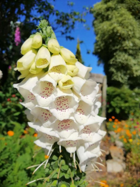 Hamlet Downs Country Accommodation - C Tourism 9